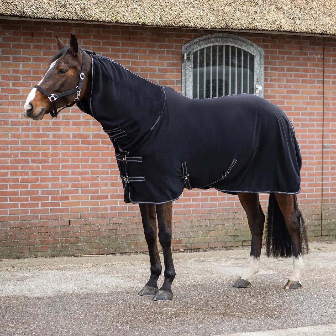 Productfoto van Sport is good NL Fleecedeken voor paarden QHP Terry-Dry 240g